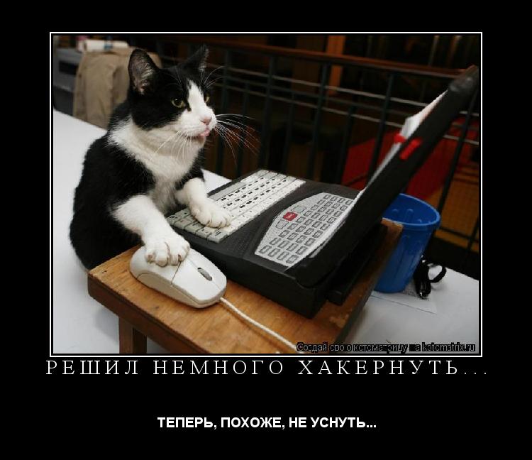 РЕШИЛ НЕМНОГО ХАКЕРНУТЬ... ТЕПЕРЬ, ПОХОЖЕ, НЕ УСНУТЬ...... Котоматрица: РЕШИЛ НЕМНОГО ХАКЕРНУТЬ... ТЕПЕРЬ, ПОХОЖЕ, НЕ УСНУТЬ...