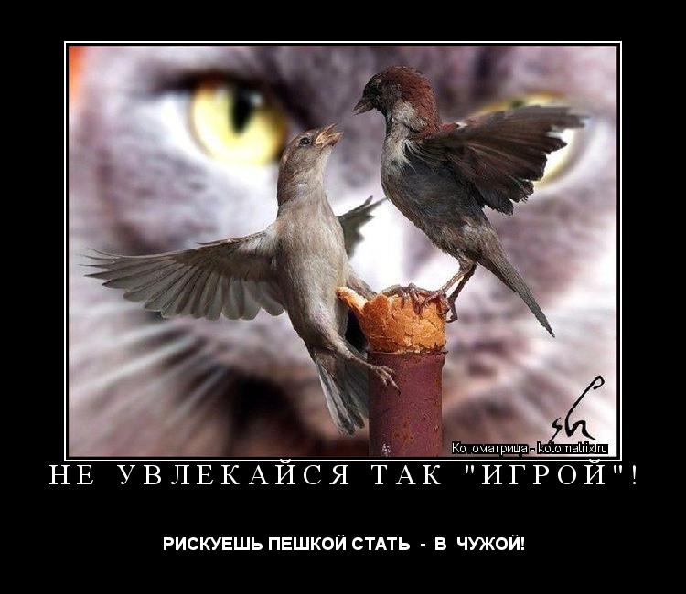 НЕ УВЛЕКАЙСЯ ТАК "ИГРОЙ"! РИСКУЕШЬ ПЕШКОЙ СТАТЬ - В ЧУЖОЙ!... Котоматрица: НЕ УВЛЕКАЙСЯ ТАК "ИГРОЙ"! РИСКУЕШЬ ПЕШКОЙ СТАТЬ - В ЧУЖОЙ!
