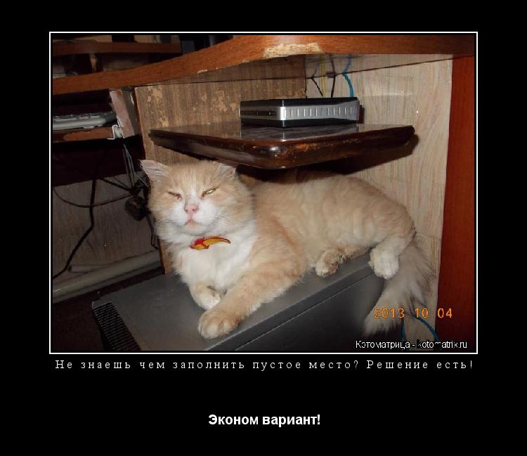 Не знаешь чем заполнить пустое место? Решение есть! Эконом вариант!... Котоматрица: Не знаешь чем заполнить пустое место? Решение есть! Эконом вариант!