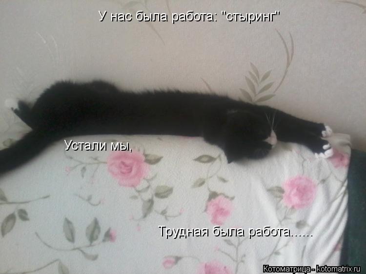 У нас была работа: "стыринг" Устали мы, Трудная была работа......... Котоматрица: У нас была работа: "стыринг" Устали мы, Трудная была работа......