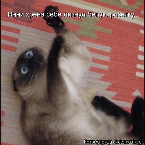 Ннни хрена себе лизнул белую розетку...... Котоматрица: Ннни хрена себе лизнул белую розетку...