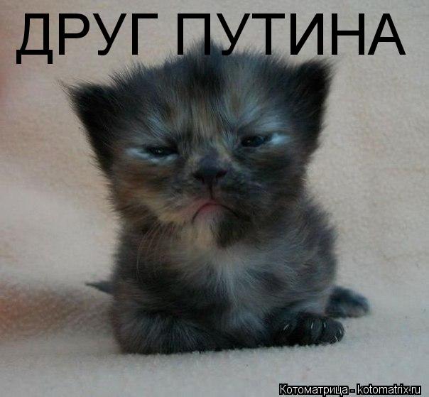 ДРУГ ПУТИНА... Котоматрица: ДРУГ ПУТИНА
