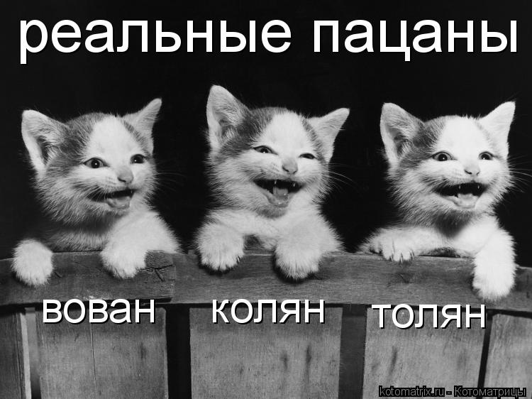 реальные пацаны вован колян толян... Котоматрица: реальные пацаны вован колян толян