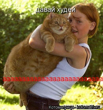 давай худей ааааааааааааааааааааааааааааааа... Котоматрица: давай худей ааааааааааааааааааааааааааааааа