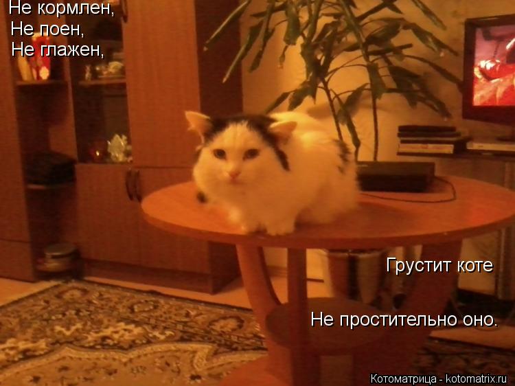 Не кормлен, Не поен, Не глажен, Грустит коте Не простительно оно.... Котоматрица: Не кормлен, Не поен, Не глажен, Грустит коте Не простительно оно.