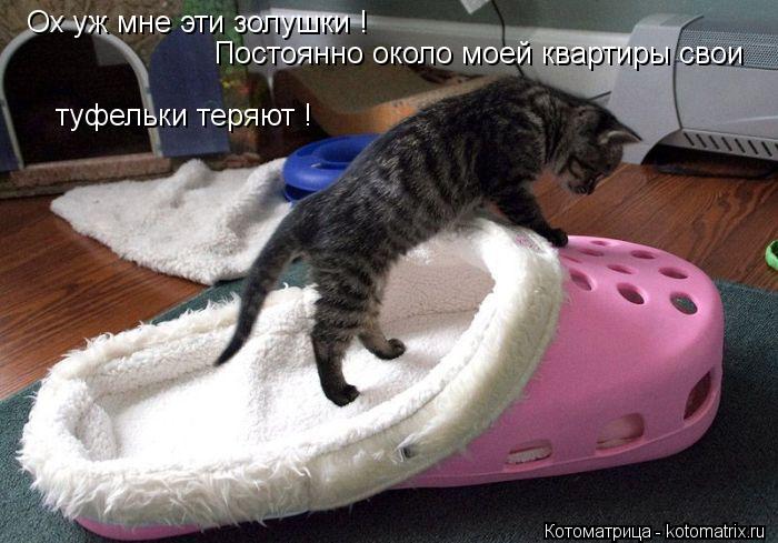 Ох уж мне эти золушки ! Постоянно около моей квартиры свои туфельки теряют !... Котоматрица: Ох уж мне эти золушки ! Постоянно около моей квартиры свои туфельки теряют !