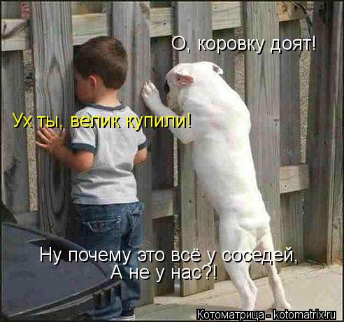 О, коровку доят! Ух ты, велик купили! Ну почему это всё у соседей, А не у нас?!... Котоматрица: О, коровку доят! Ух ты, велик купили! Ну почему это всё у соседей, А не у нас?!