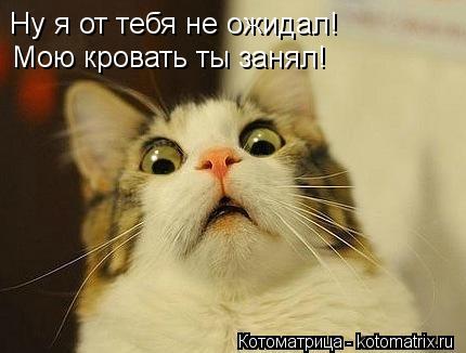 Ну я от тебя не ожидал! Мою кровать ты занял!... Котоматрица: Ну я от тебя не ожидал! Мою кровать ты занял!