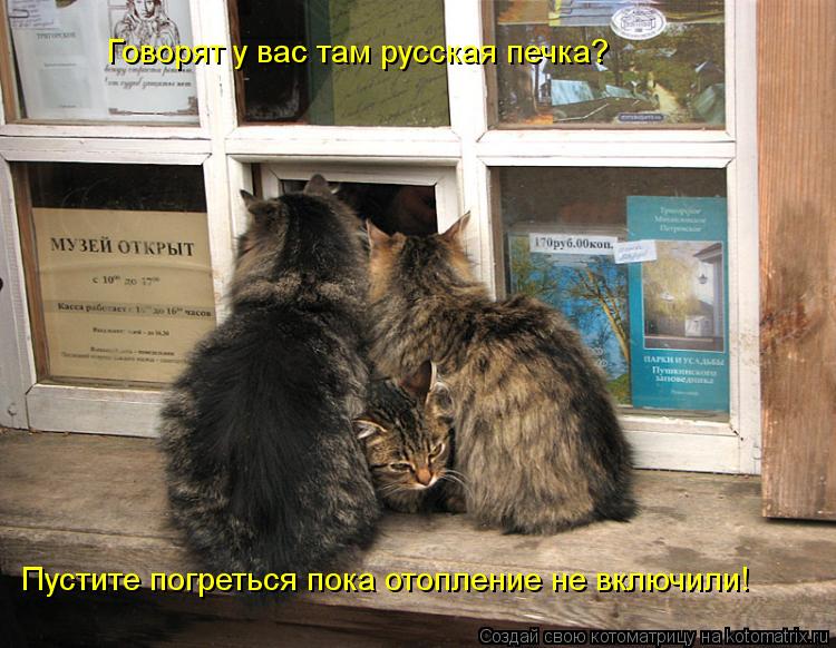 Говорят у вас там русская печка? Пустите погреться пока отопление не включили!... Котоматрица: Говорят у вас там русская печка? Пустите погреться пока отопление не включили!
