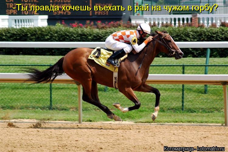 -Ты правда хочешь въехать в рай на чужом горбу?... Котоматрица: -Ты правда хочешь въехать в рай на чужом горбу?