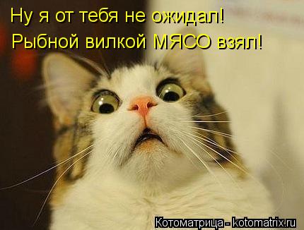 Ну я от тебя не ожидал! Рыбной вилкой МЯСО взял!... Котоматрица: Ну я от тебя не ожидал! Рыбной вилкой МЯСО взял!