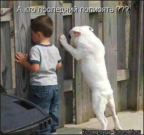 А кто последний пописять ???... Котоматрица: А кто последний пописять ???