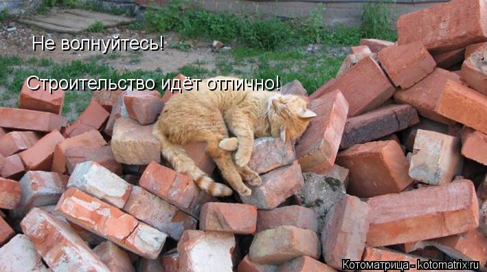 Не волнуйтесь! Строительство идёт отлично!... Котоматрица: Не волнуйтесь! Строительство идёт отлично!