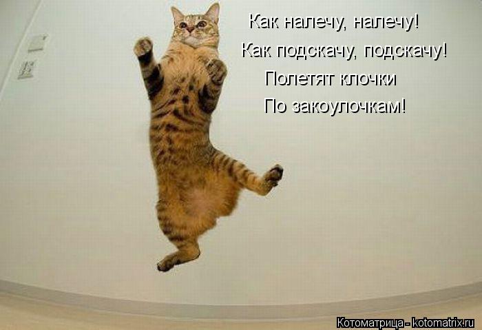 Как налечу, налечу! Как подскачу, подскачу! Полетят клочки По закоулочкам!... Котоматрица: Как налечу, налечу! Как подскачу, подскачу! Полетят клочки По закоулочкам!