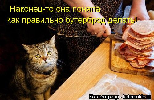 Наконец-то она поняла как правильно бутерброд делать!... Котоматрица: Наконец-то она поняла как правильно бутерброд делать!