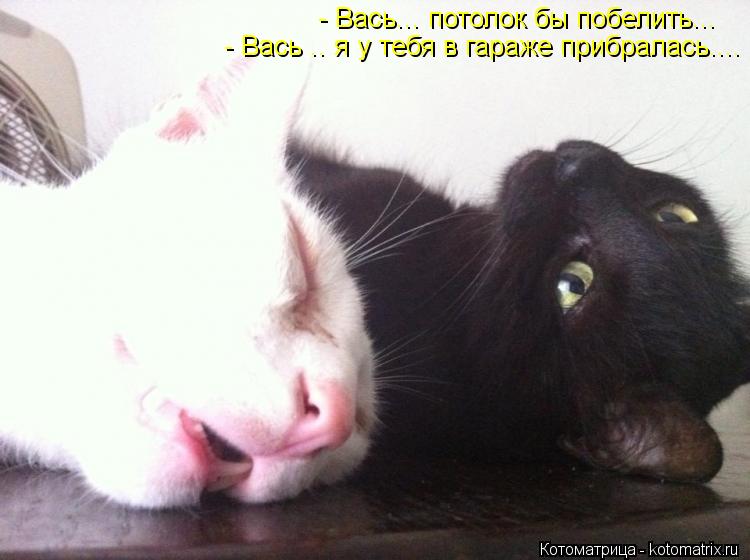 - Вась... потолок бы побелить... - Вась .. я у тебя в гараже прибралась....... Котоматрица: - Вась... потолок бы побелить... - Вась .. я у тебя в гараже прибралась....