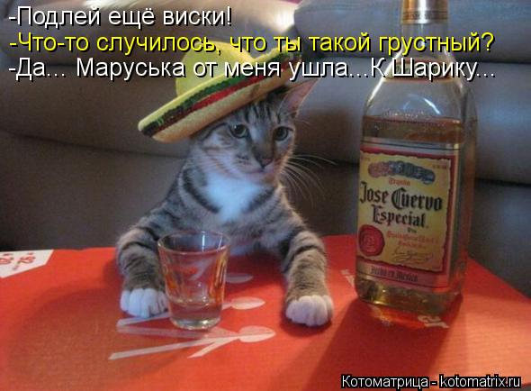 -Подлей ещё виски! -Что-то случилось, что ты такой грустный? -Да... Маруська от меня ушла...К Шарику.... Котоматрица: -Подлей ещё виски! -Что-то случилось, что ты такой грустный? -Да... Маруська от меня ушла...К Шарику...