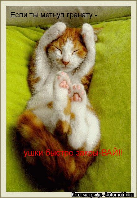 Если ты метнул гранату - ушки быстро закры-ВАЙ!!... Котоматрица: Если ты метнул гранату - ушки быстро закры-ВАЙ!!