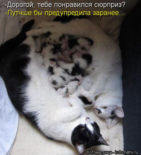 -Дорогой, тебе понравился сюрприз? -Лутчше бы предупредила заранее...... Котоматрица: -Дорогой, тебе понравился сюрприз? -Лутчше бы предупредила заранее...