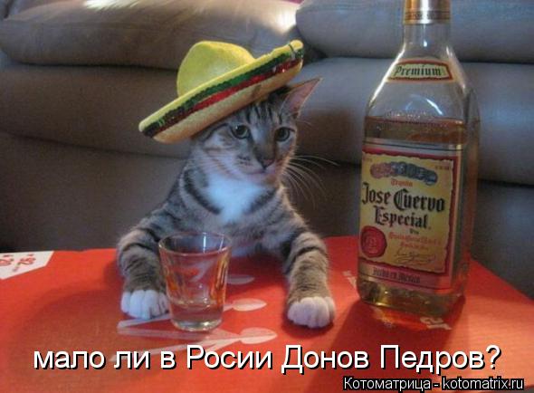 мало ли в Росии Донов Педров?... Котоматрица: мало ли в Росии Донов Педров?