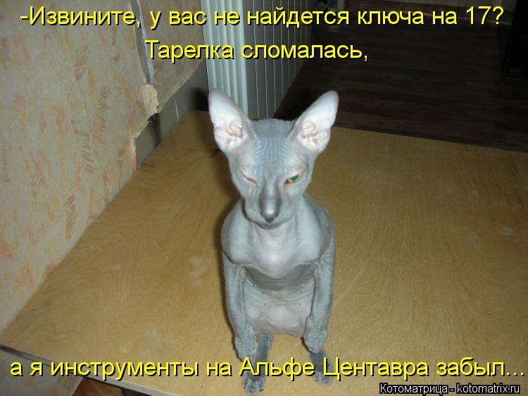 Котоматрица: -Извините, у вас не найдется ключа на 17? Тарелка сломалась,  а я инструменты на Альфе Центавра забыл...