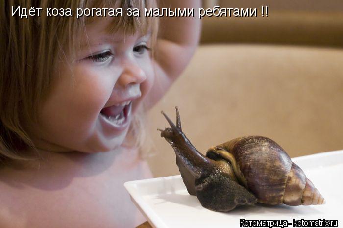 Идёт коза рогатая за малыми ребятами !!... Котоматрица: Идёт коза рогатая за малыми ребятами !!