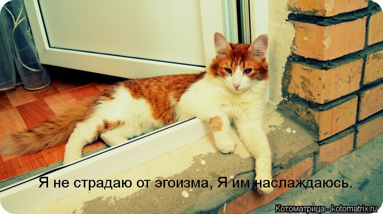 Я не страдаю от эгоизма, Я им наслаждаюсь. Я не страдаю от эгоизма, Я им наслаждаюсь.... Котоматрица: Я не страдаю от эгоизма, Я им наслаждаюсь. Я не страдаю от эгоизма, Я им наслаждаюсь.
