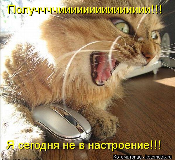 Получчччиииииииииииииии!!! Я сегодня не в настроение!!!... Котоматрица: Получчччиииииииииииииии!!! Я сегодня не в настроение!!!