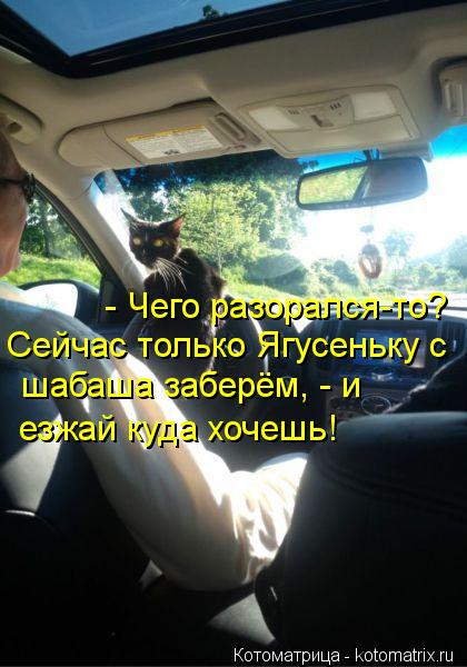 - Чего разорался-то? Сейчас только Ягусеньку с шабаша заберём, - и езжай куда хочешь!... Котоматрица: - Чего разорался-то? Сейчас только Ягусеньку с шабаша заберём, - и езжай куда хочешь!