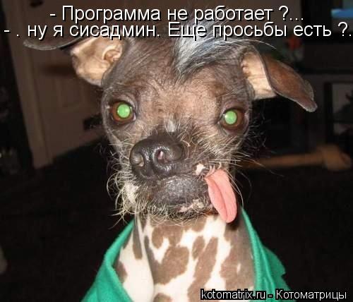 - Программа не работает ?... - . ну я сисадмин. Еще просьбы есть ?...... Котоматрица: - Программа не работает ?... - . ну я сисадмин. Еще просьбы есть ?...