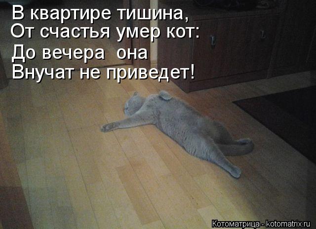 В квартире тишина, От счастья умер кот: До вечера она Внучат не приведет!... Котоматрица: В квартире тишина, От счастья умер кот: До вечера она Внучат не приведет!