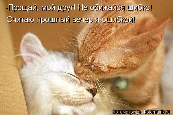 -Прощай, мой друг! Не обижайся шибко! Считаю прошлый вечер я ошибкой!... Котоматрица: -Прощай, мой друг! Не обижайся шибко! Считаю прошлый вечер я ошибкой!