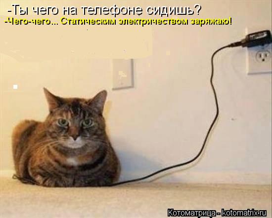 -Ты чего на телефоне сидишь? -Чего-чего... Статическим электричеством заряжаю!... Котоматрица: -Ты чего на телефоне сидишь? -Чего-чего... Статическим электричеством заряжаю!