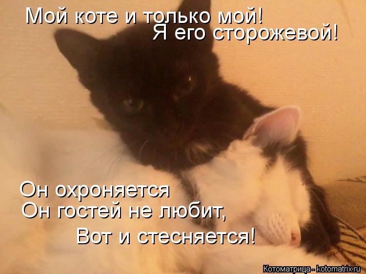 Мой коте и только мой! Я его сторожевой! Он охроняется Он гостей не любит, Вот и стесняется!... Котоматрица: Мой коте и только мой! Я его сторожевой! Он охроняется Он гостей не любит, Вот и стесняется!