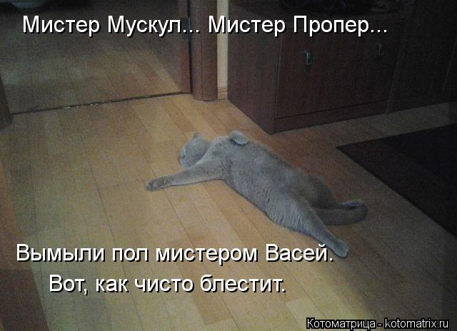 Мистер Мускул... Мистер Пропер... Вымыли пол мистером Васей. Вот, как чисто блестит.... Котоматрица: Мистер Мускул... Мистер Пропер... Вымыли пол мистером Васей. Вот, как чисто блестит.