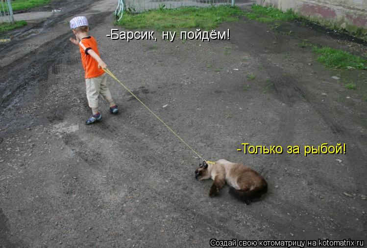 -Барсик, ну пойдём! -Только за рыбой!... Котоматрица: -Барсик, ну пойдём! -Только за рыбой!