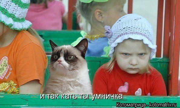 и так кать ты умничка... Котоматрица: и так кать ты умничка