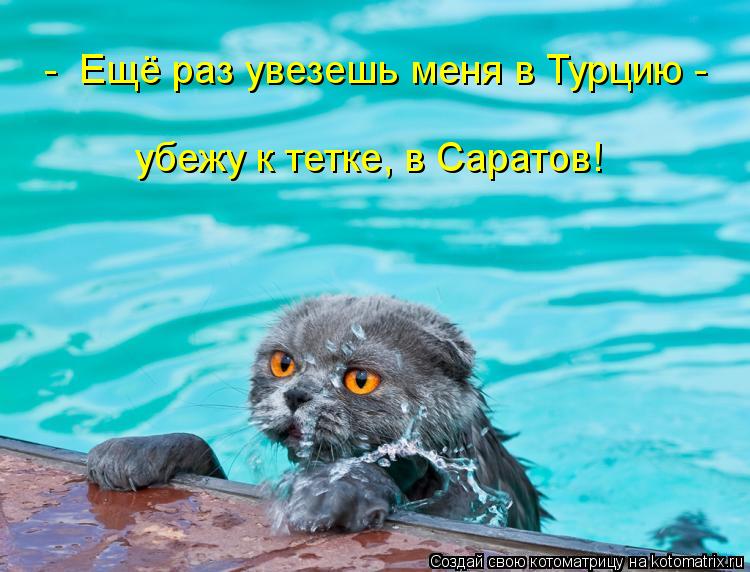 - Ещё раз увезешь меня в Турцию - убежу к тетке, в Саратов!... Котоматрица: - Ещё раз увезешь меня в Турцию - убежу к тетке, в Саратов!