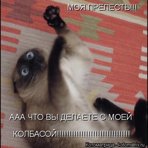 МОЯ ПРЕЛЕСТЬ!!! ААА ЧТО ВЫ ДЕЛАЕТЕ С МОЕЙ КОЛБАСОЙ!!!!!!!!!!!!!!!!!!!!!!!!!!!!!!!... Котоматрица: МОЯ ПРЕЛЕСТЬ!!! ААА ЧТО ВЫ ДЕЛАЕТЕ С МОЕЙ КОЛБАСОЙ!!!!!!!!!!!!!!!!!!!!!!!!!!!!!!!