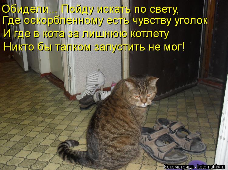 Где оскорбленному есть чувству уголок И где в кота за лишнюю котлету Никто бы тапком запустить не мог... Котоматрица: Где оскорбленному есть чувству уголок И где в кота за лишнюю котлету Никто бы тапком запустить не мог! Обидели... Пойду искать по свету,