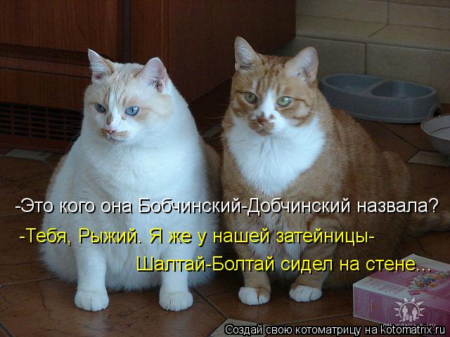 -Это кого она Бобчинский-Добчинский назвала? -Тебя, Рыжий. Я же у нашей затейницы- Шалтай-Болтай сиде... Котоматрица: -Это кого она Бобчинский-Добчинский назвала? -Тебя, Рыжий. Я же у нашей затейницы- Шалтай-Болтай сидел на стене...
