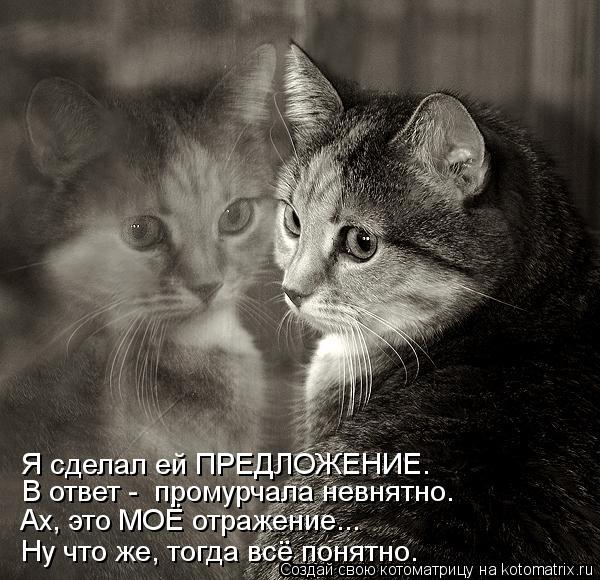 Ах, это МОЁ отражение... Ну что же, тогда всё понятно. Я сделал ей ПРЕДЛОЖЕНИЕ. В ответ - промурчала... Котоматрица: Ах, это МОЁ отражение... Ну что же, тогда всё понятно. Я сделал ей ПРЕДЛОЖЕНИЕ. В ответ - промурчала невнятно.