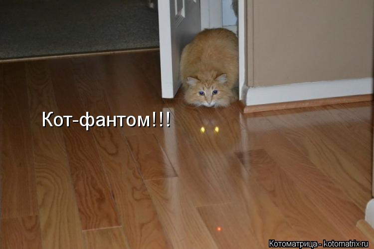 Кот-фантом!!!... Котоматрица: Кот-фантом!!!