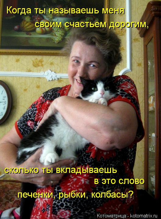 Когда ты называешь меня своим счастьем дорогим, сколько ты вкладываешь в это слово печенки, рыбки, ... Котоматрица: Когда ты называешь меня своим счастьем дорогим, сколько ты вкладываешь в это слово печенки, рыбки, колбасы?