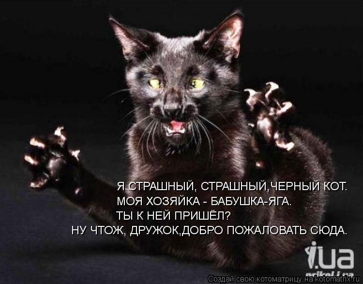 Я СТРАШНЫЙ, СТРАШНЫЙ,ЧЕРНЫЙ КОТ. МОЯ ХОЗЯЙКА - БАБУШКА-ЯГА. ТЫ К НЕЙ ПРИШЁЛ? НУ ЧТОЖ, ДРУЖОК,ДОБРО ПО... Котоматрица: Я СТРАШНЫЙ, СТРАШНЫЙ,ЧЕРНЫЙ КОТ. МОЯ ХОЗЯЙКА - БАБУШКА-ЯГА. ТЫ К НЕЙ ПРИШЁЛ? НУ ЧТОЖ, ДРУЖОК,ДОБРО ПОЖАЛОВАТЬ СЮДА.