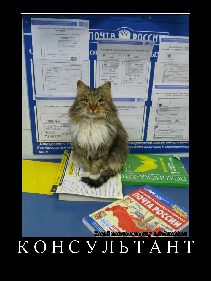 КОНСУЛЬТАНТ ... Котоматрица: КОНСУЛЬТАНТ