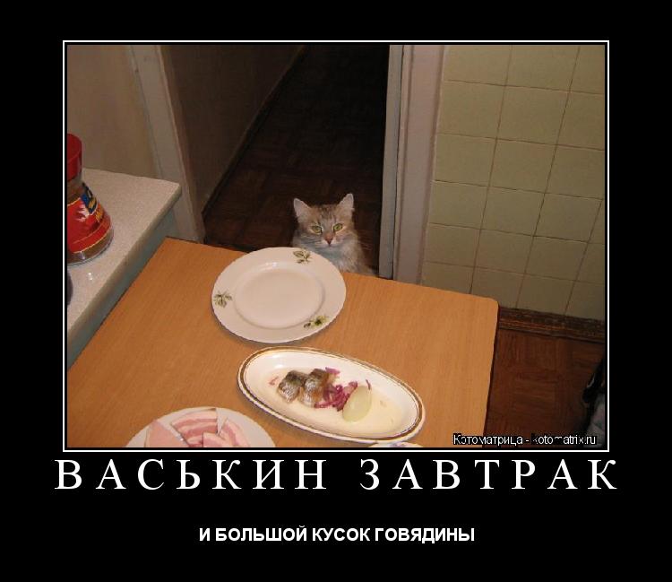 ВАСЬКИН ЗАВТРАК И БОЛЬШОЙ КУСОК ГОВЯДИНЫ... Котоматрица: ВАСЬКИН ЗАВТРАК И БОЛЬШОЙ КУСОК ГОВЯДИНЫ