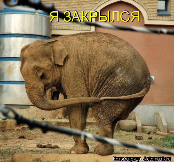 Я ЗАКРЫЛСЯ Я ЗАКРЫЛСЯ... Котоматрица: Я ЗАКРЫЛСЯ Я ЗАКРЫЛСЯ