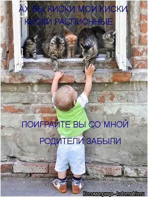АХ ВЫ КИСКИ,МОИ КИСКИ КИСКИ РАСПИСННЫЕ ПОИГРАЙТЕ ВЫ СО МНОЙ РОДИТЕЛИ ЗАБЫЛИ... Котоматрица: АХ ВЫ КИСКИ,МОИ КИСКИ КИСКИ РАСПИСННЫЕ ПОИГРАЙТЕ ВЫ СО МНОЙ РОДИТЕЛИ ЗАБЫЛИ