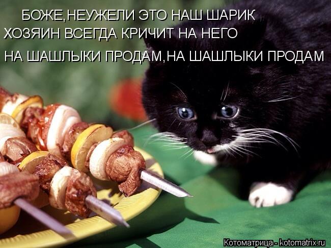 БОЖЕ,НЕУЖЕЛИ ЭТО НАШ ШАРИК ХОЗЯИН ВСЕГДА КРИЧИТ НА НЕГО НА ШАШЛЫКИ ПРОДАМ,НА ШАШЛЫКИ ПРОДАМ... Котоматрица: БОЖЕ,НЕУЖЕЛИ ЭТО НАШ ШАРИК ХОЗЯИН ВСЕГДА КРИЧИТ НА НЕГО НА ШАШЛЫКИ ПРОДАМ,НА ШАШЛЫКИ ПРОДАМ